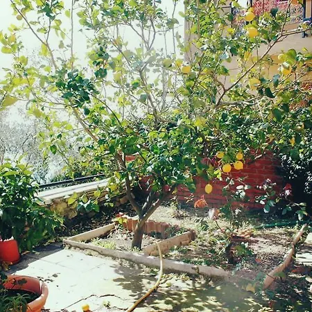 Casa Sandro La Serra Lerici
